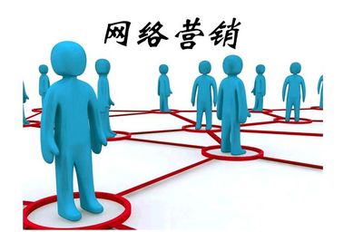 網(wǎng)絡(luò)營銷與互聯(lián)網(wǎng)銷售 數(shù)字經(jīng)濟時代的雙引擎