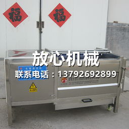 濟(jì)寧全自動(dòng)洗姜機(jī)專業(yè)制作廠家 放心機(jī)械用專業(yè)技術(shù)做專業(yè)產(chǎn)品